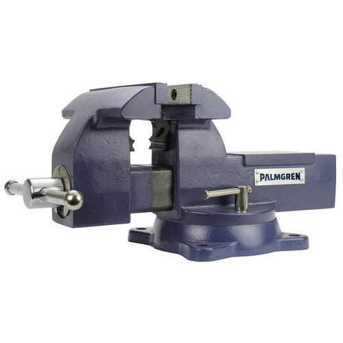 Palmgren Combination Bench & Pipe Vise, 8" - 9629748
